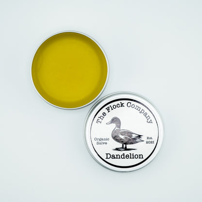Dandelion Salve
