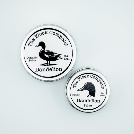Dandelion Salve